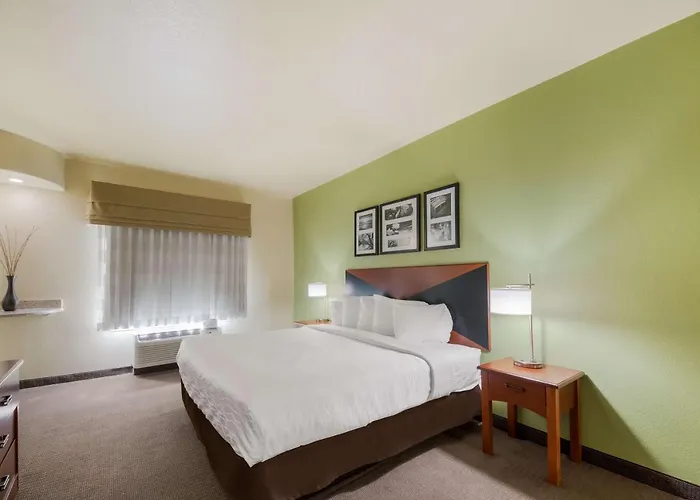 King Suite Disability Access